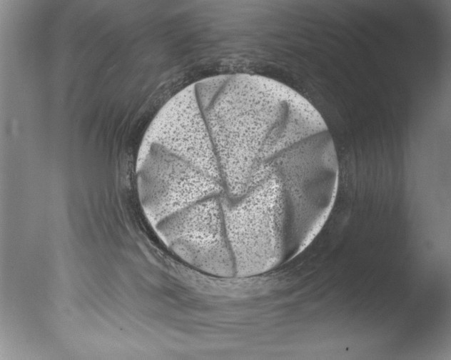 X0000076100038200610202147