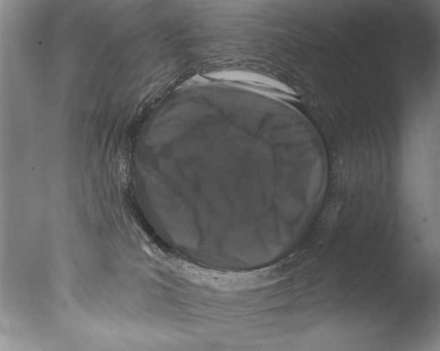 X0000076100039200610202147