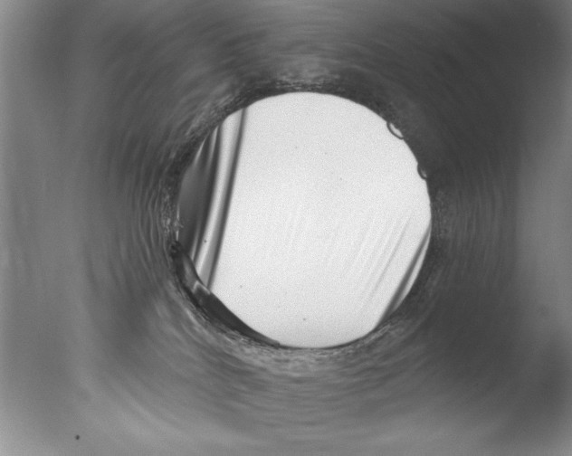 X0000076100040200610202147
