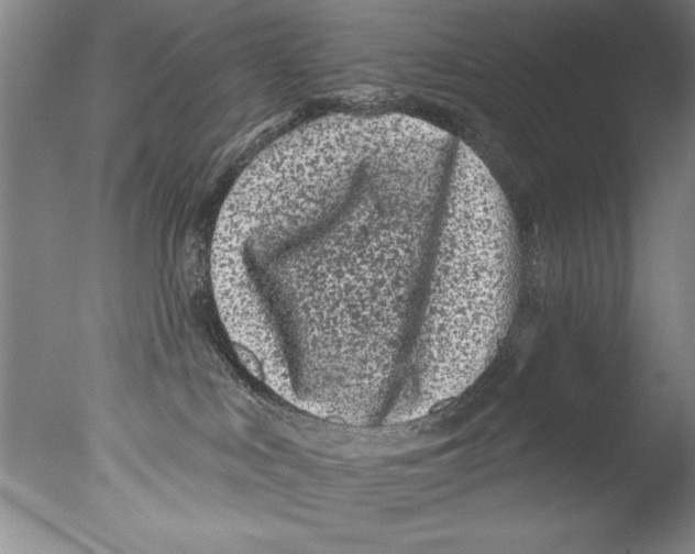 X0000076100043200610202147