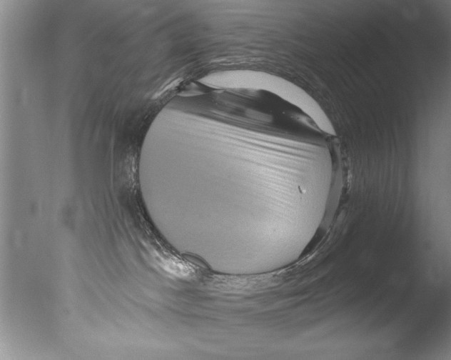 X0000076100045200610202147