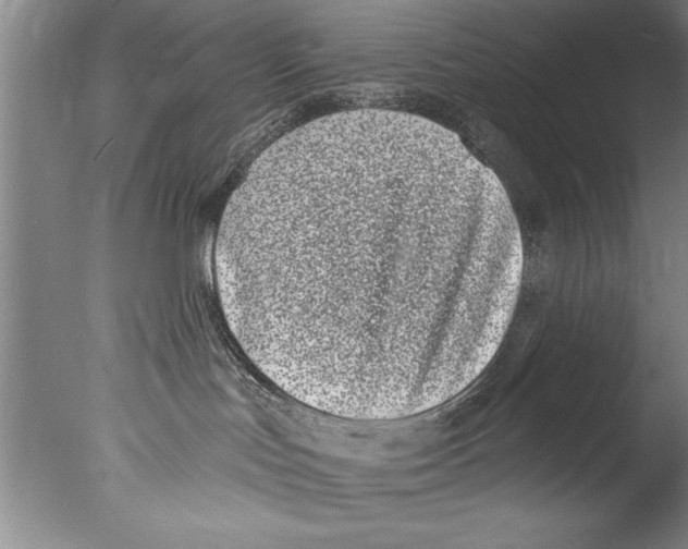 X0000076100047200610202147