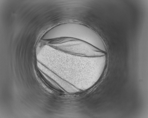 X0000076100049200610202146