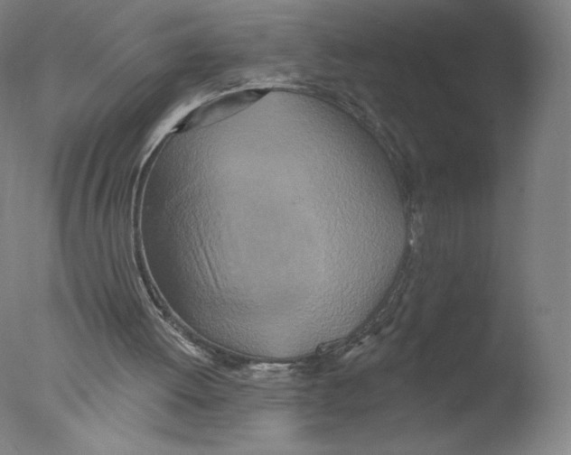 X0000076100052200610202146