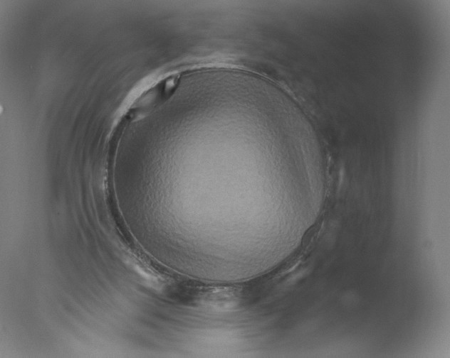 X0000076100056200610202146
