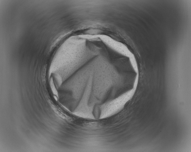 X0000076100058200610202146