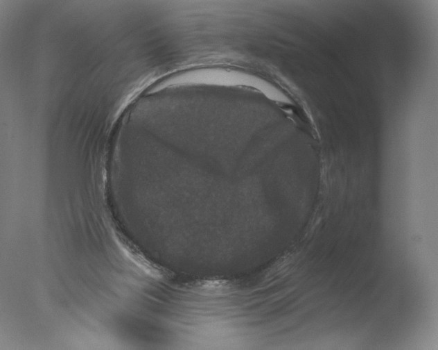X0000076100059200610202146