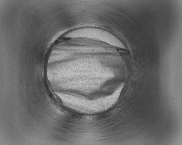 X0000076100060200610202146