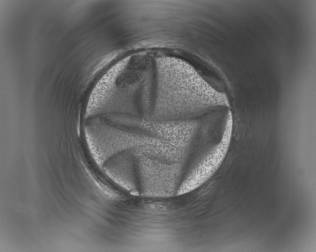 X0000076100062200610202146