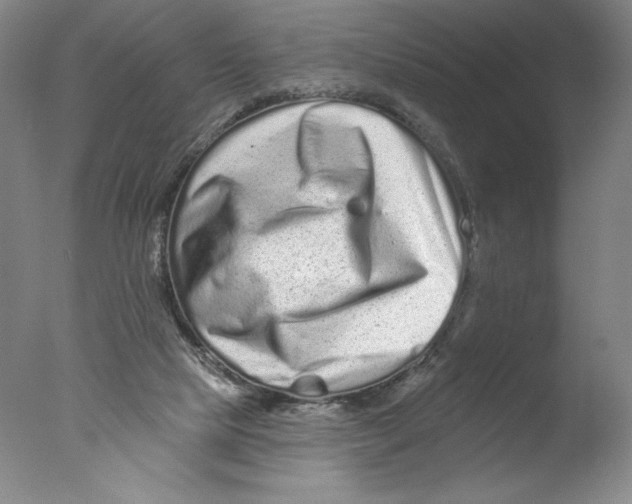 X0000076100065200610202146
