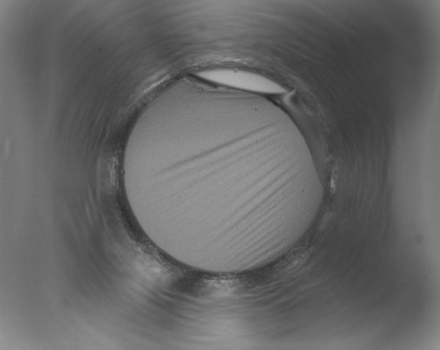 X0000076100071200610202146