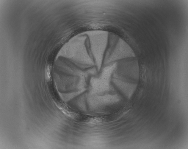 X0000076100075200610202146