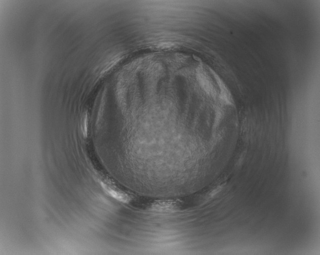 X0000076100076200610202146
