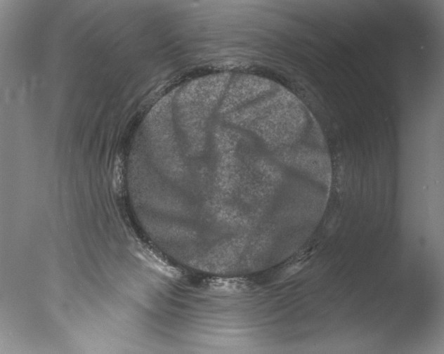 X0000076100077200610202146