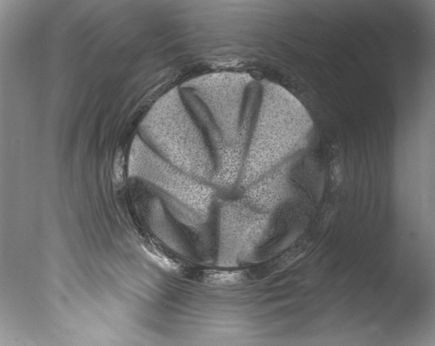 X0000076100081200610202147