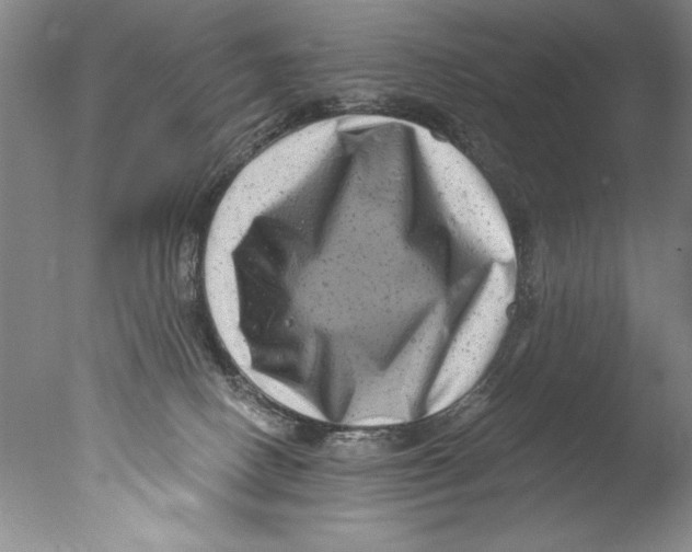 X0000076100082200610202147