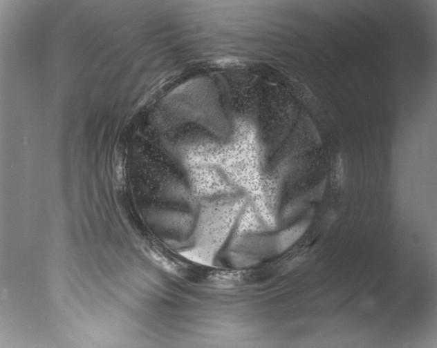 X0000076100084200610202147