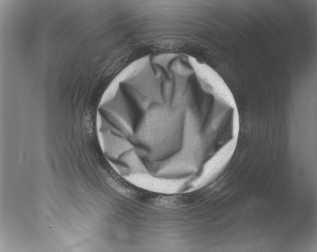 X0000076100086200610202147