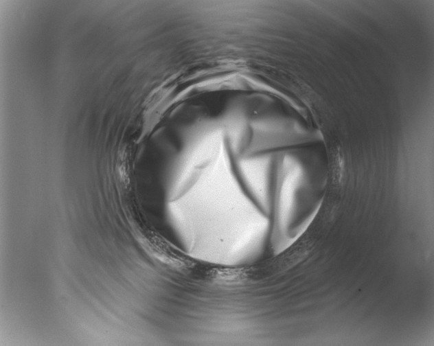 X0000076100088200610202147