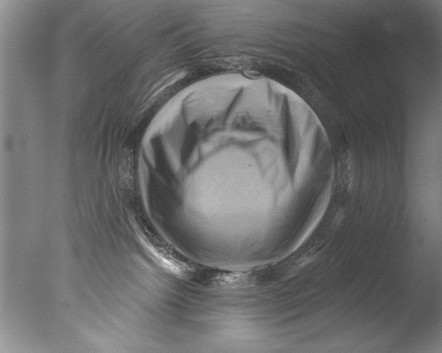 X0000076100092200610202147