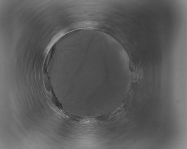 X0000076100099200610202146