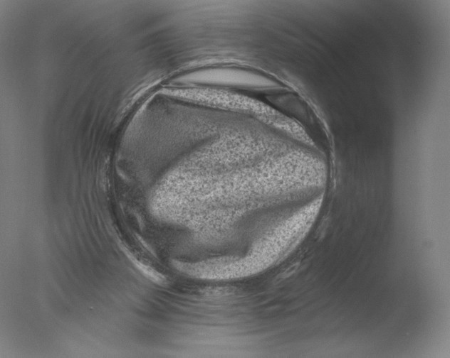 X0000076100105200610202146