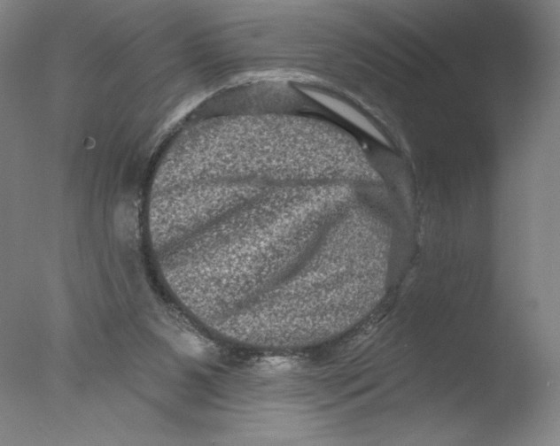 X0000076100111200610202146