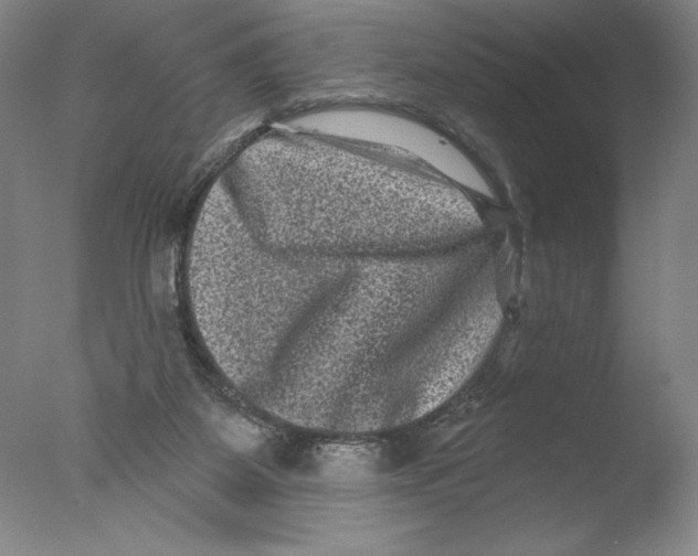 X0000076100115200610202146