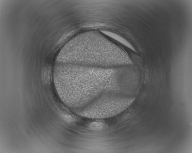 X0000076100119200610202146