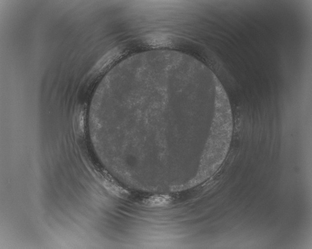 X0000076100124200610202146