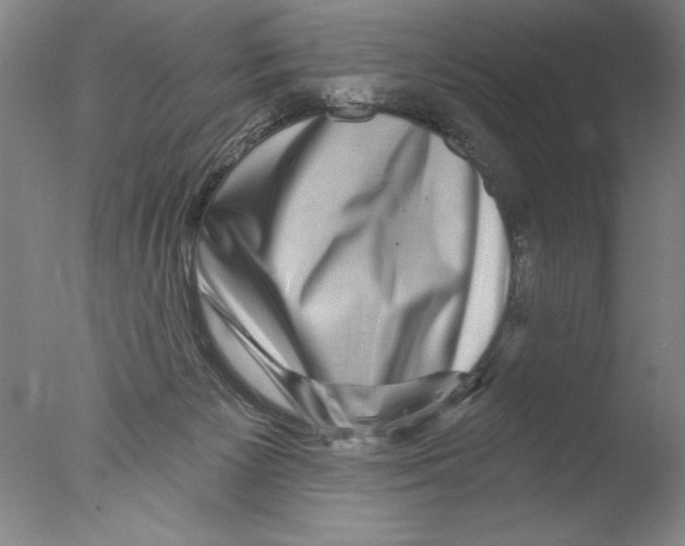 X0000076100125200610202146