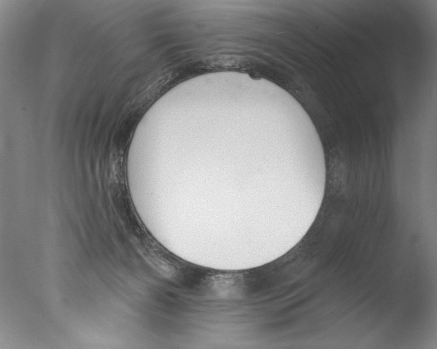 X0000076100126200610202146