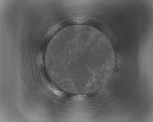 X0000076100128200610202145