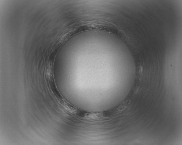 X0000076100129200610202145