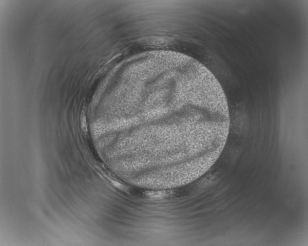 X0000076100131200610202145