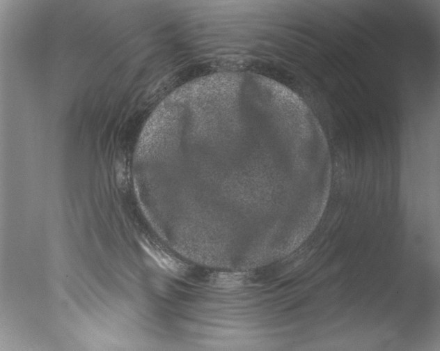 X0000076100134200610202145