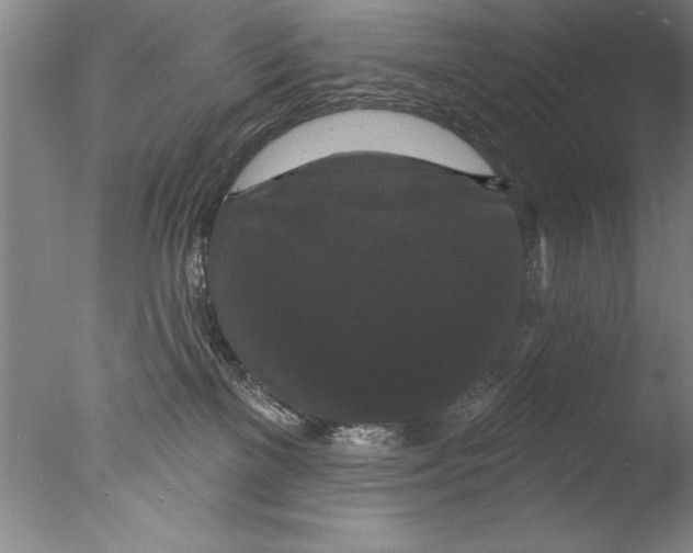 X0000076100137200610202145