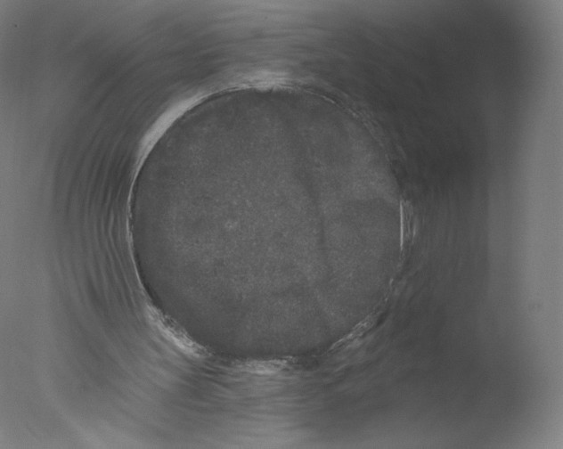 X0000076100147200610202144