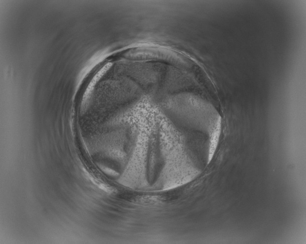 X0000076100152200610202145