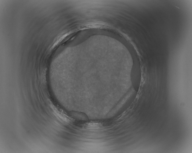 X0000076100154200610202145