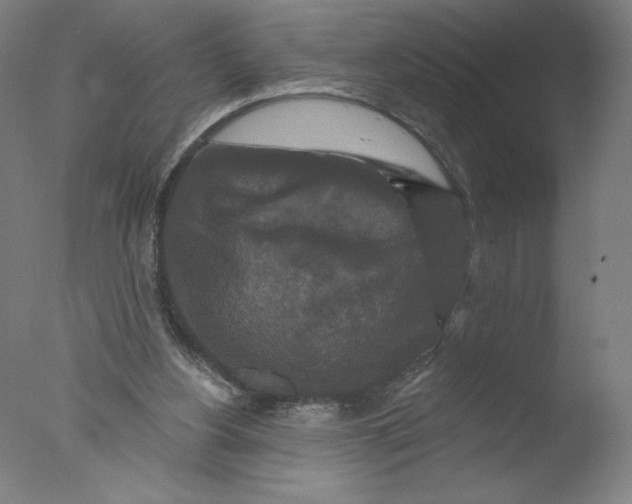 X0000076100156200610202145