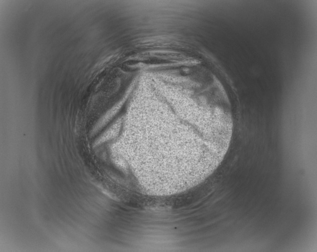 X0000076100161200610202145