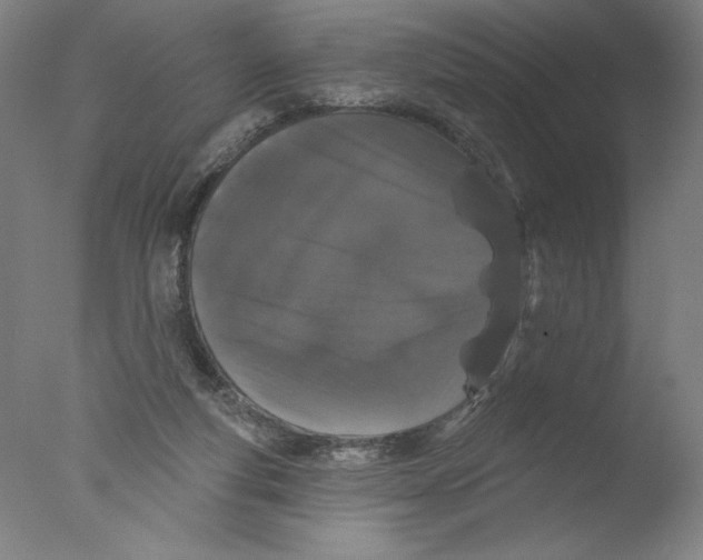 X0000076100163200610202145