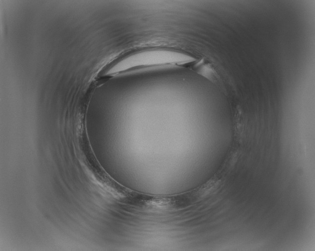 X0000076100164200610202145