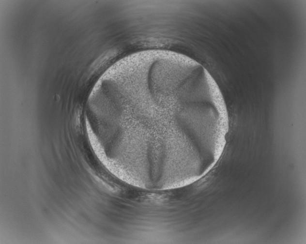 X0000076100166200610202145