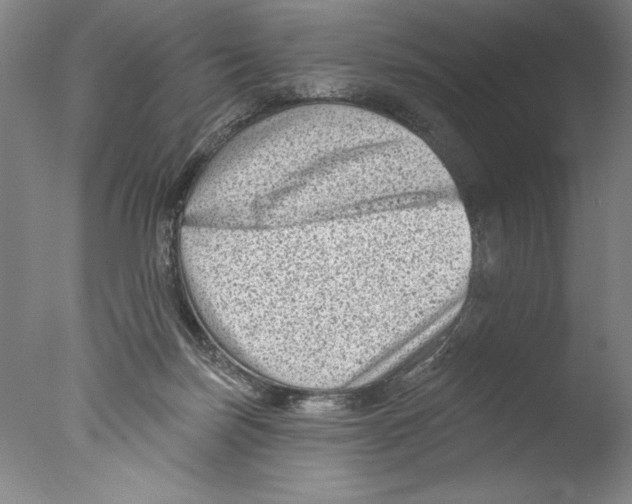 X0000076100171200610202145