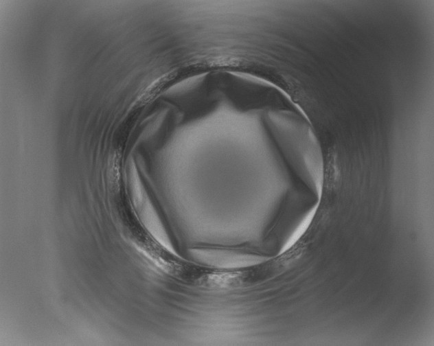 X0000076100172200610202145