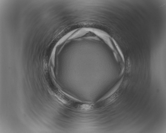 X0000076100176200610202145
