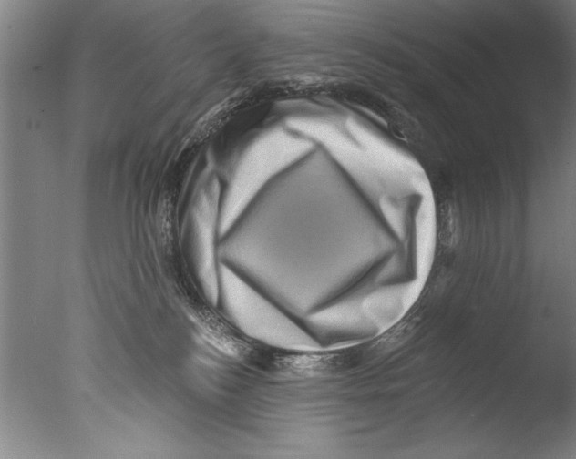 X0000076100184200610202145