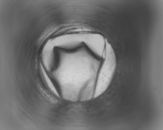 X0000076100194200610202144